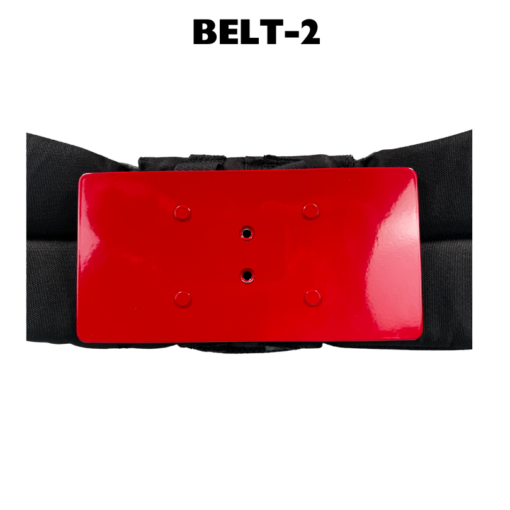 Backpack Belt & bracket set. - Image 2